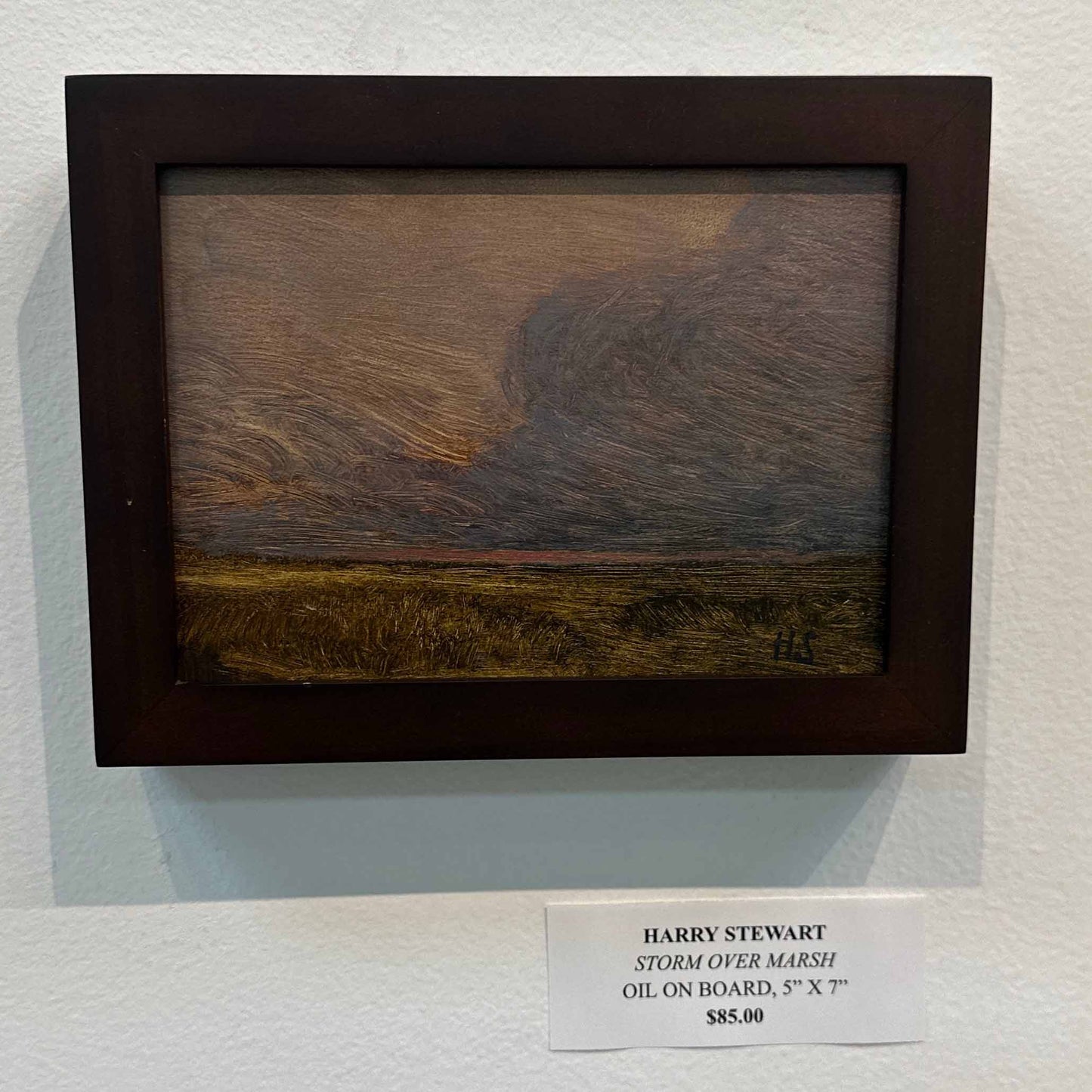 Storm Over Marsh by Harry Stewart