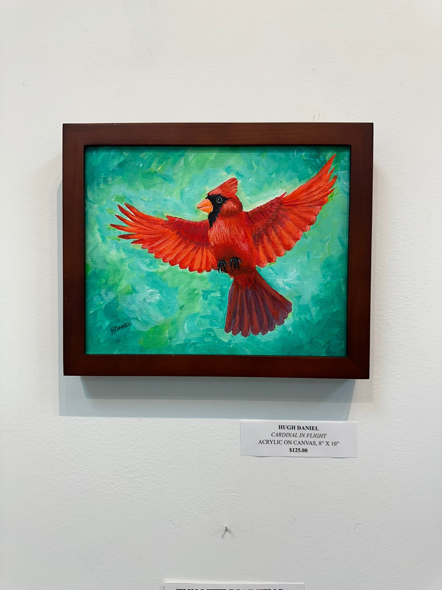 Cardinal In Flight by Hugh Daniel