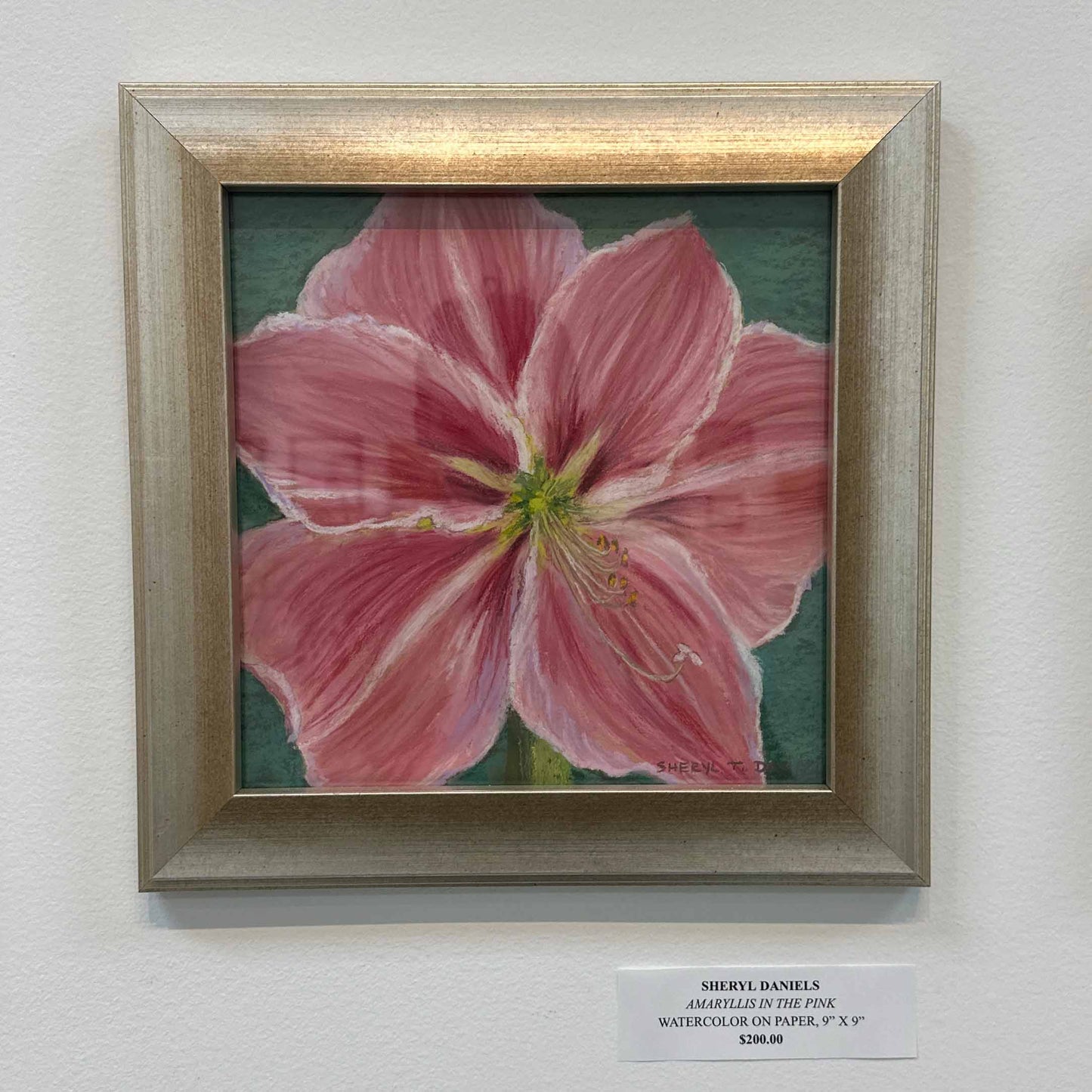 Amaryllis In The Pink by Sheryl Daniels